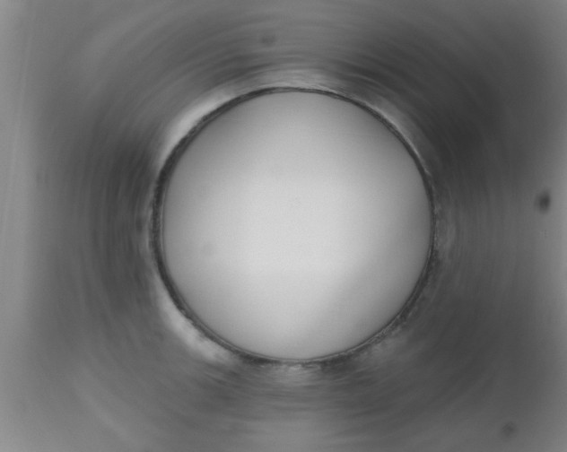 X0000112541139200909071415