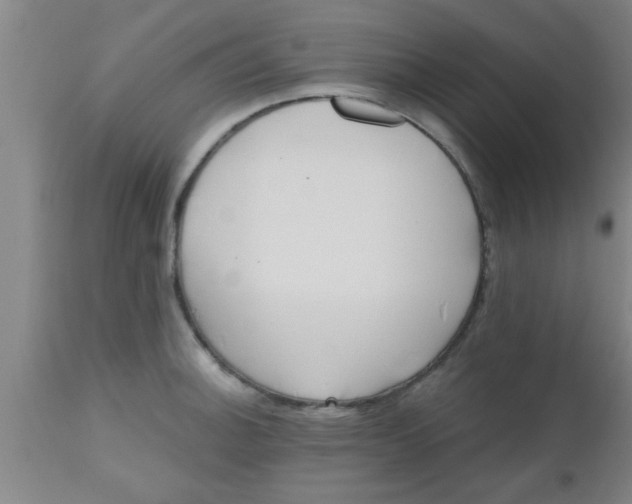 X0000112541140200909071415