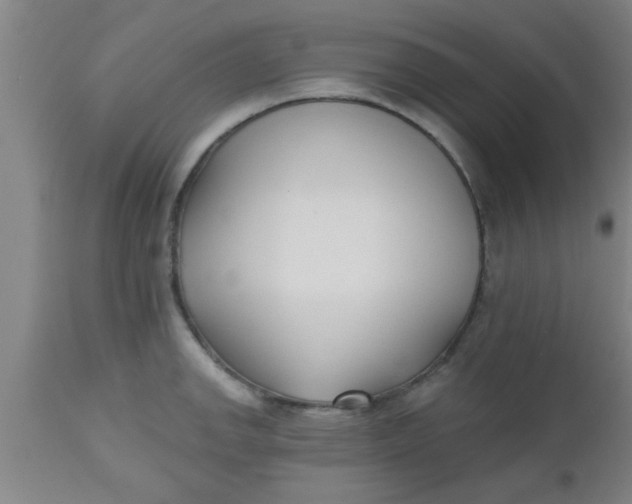 X0000112541142200909071415