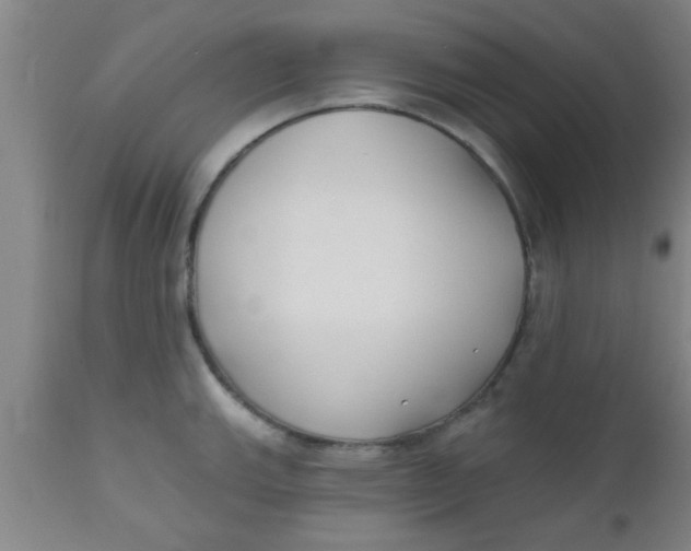 X0000112541143200909071415