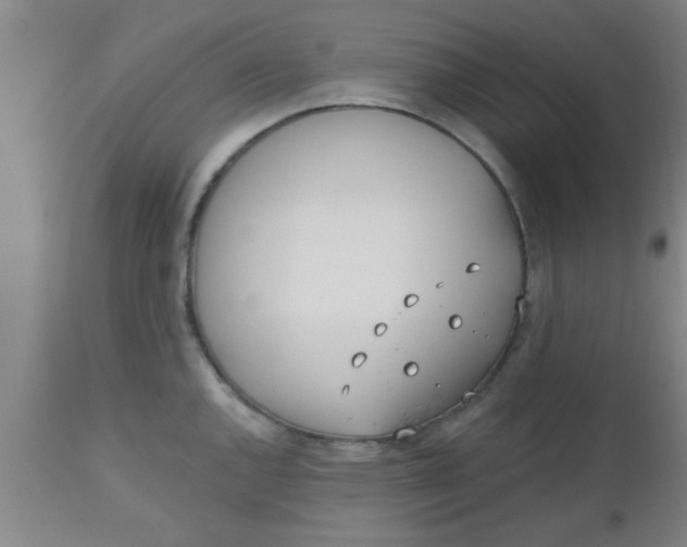 X0000112541144200909071415