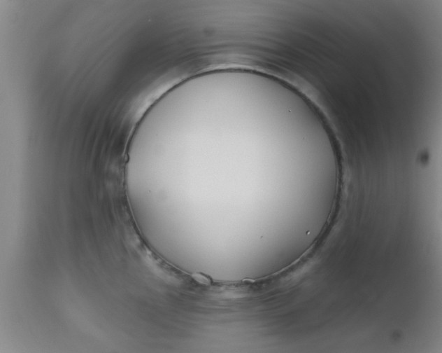 X0000112541145200909071415