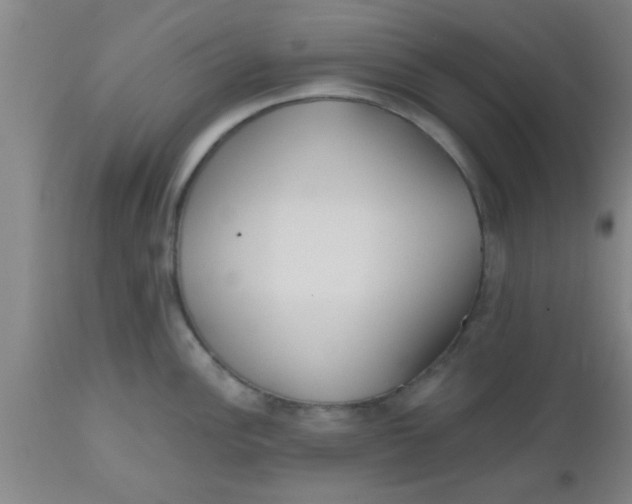 X0000112541148200909071415