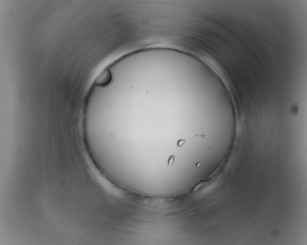 X0000112541149200909071415