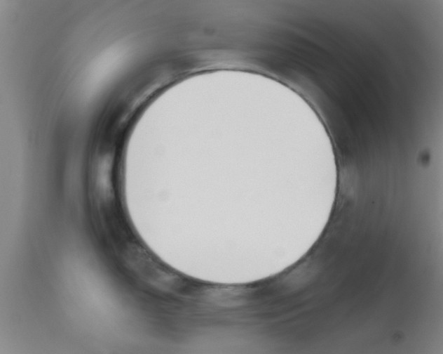 X0000112541150200909071415