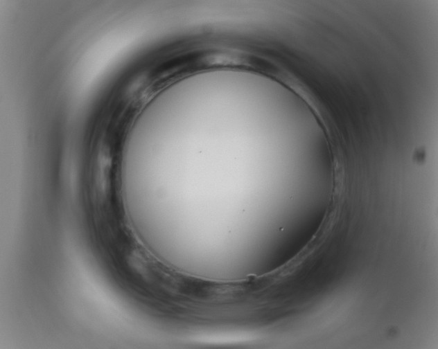 X0000112541151200909071415