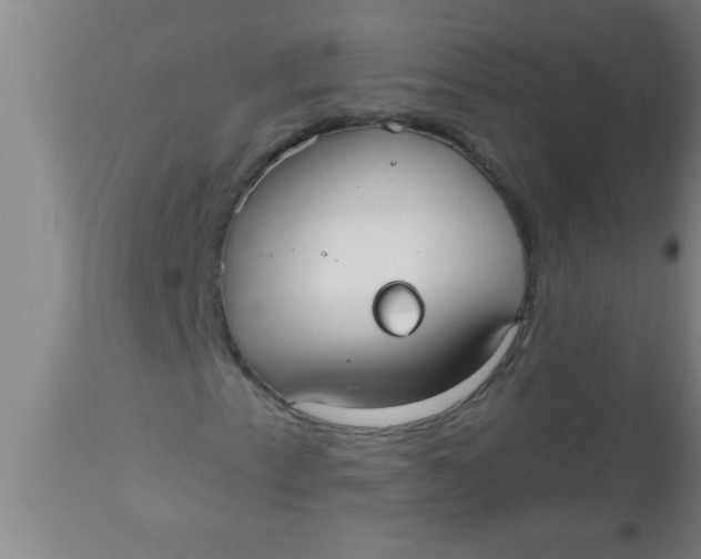 X0000112541153200909071415