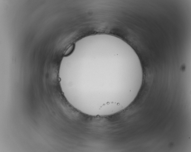 X0000112541154200909071415