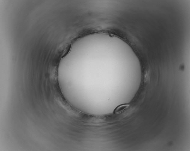 X0000112541156200909071415