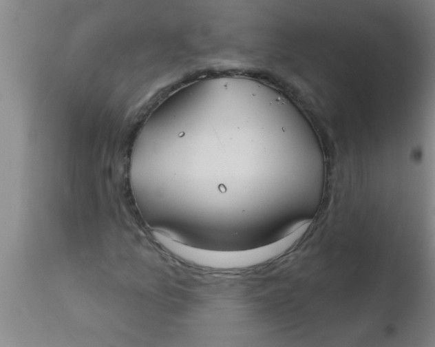 X0000112541157200909071415