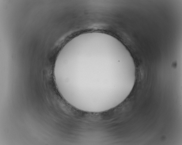X0000112541158200909071415