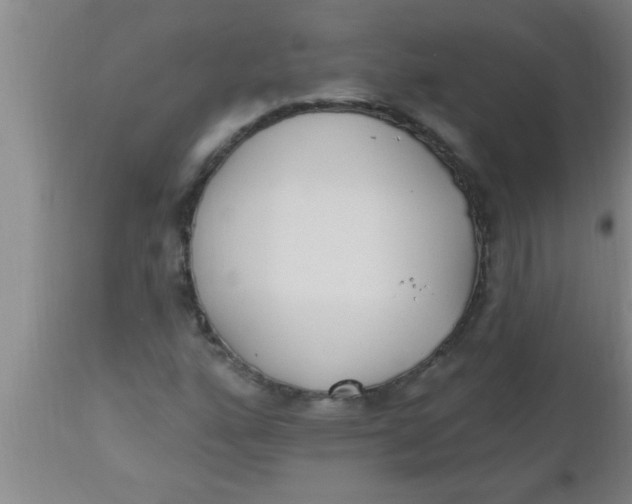 X0000112541160200909071415
