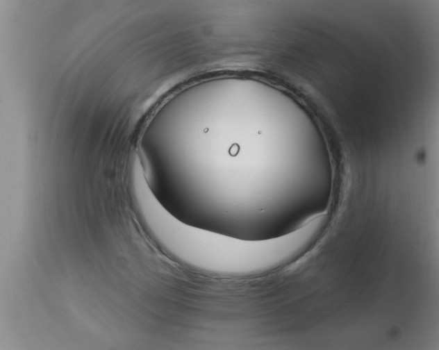 X0000112541162200909071415