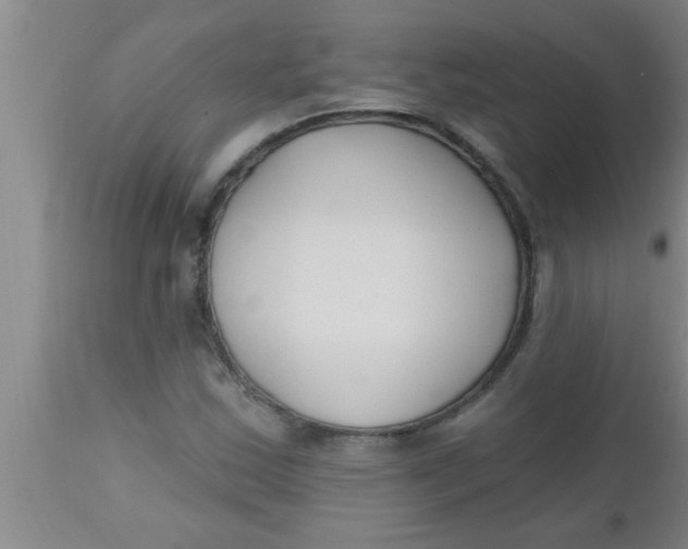 X0000112541163200909071415