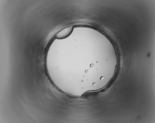 X0000112541164200909071415