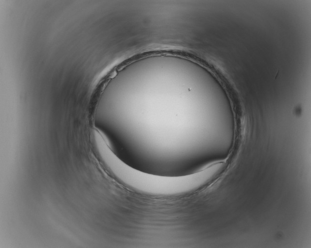 X0000112541165200909071415