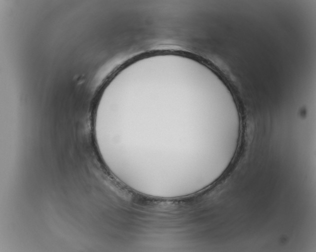 X0000112541167200909071414