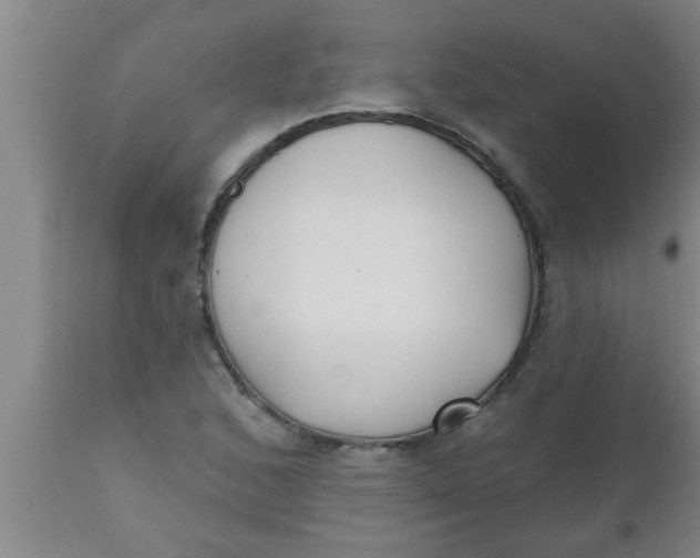 X0000112541168200909071414