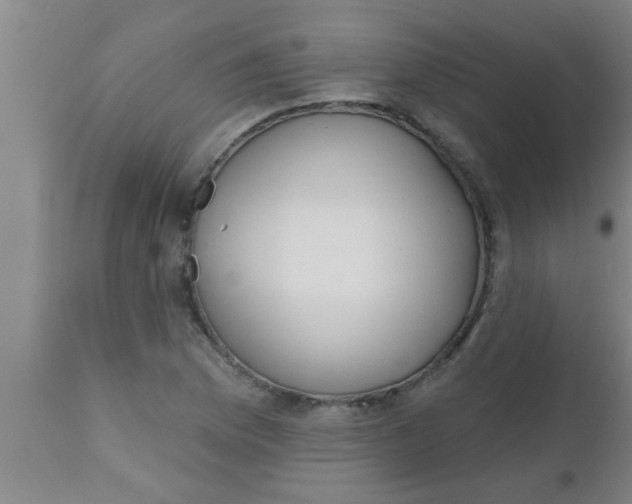 X0000112541169200909071414