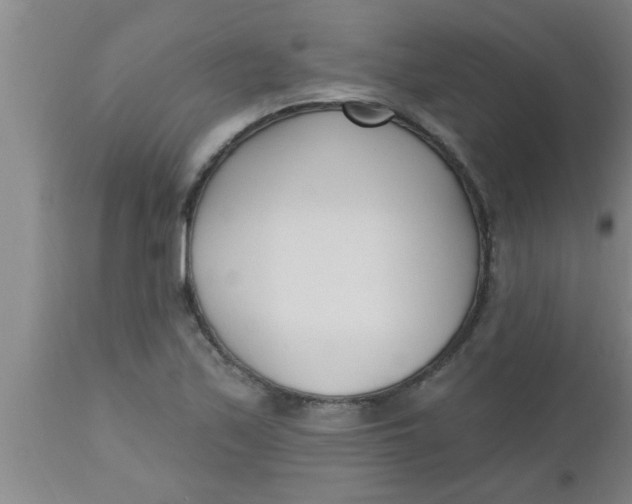 X0000112541171200909071414