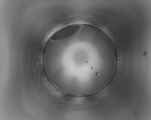X0000112541173200909071414