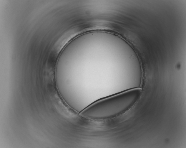 X0000112541177200909071414