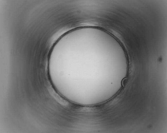 X0000112541179200909071414