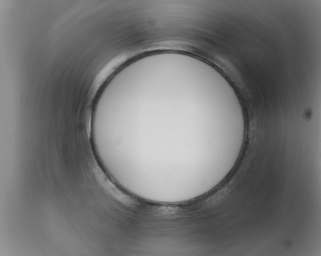 X0000112541180200909071414