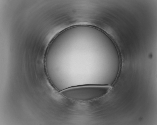 X0000112541181200909071414