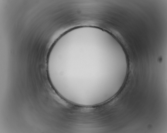 X0000112541184200909071414