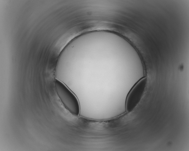 X0000112541185200909071414