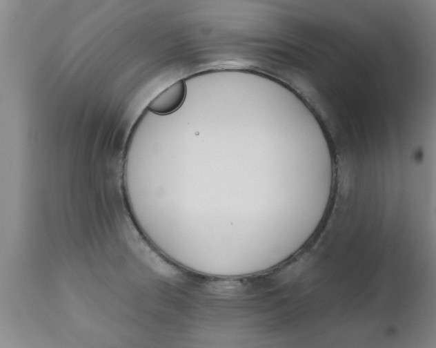 X0000112541186200909071414
