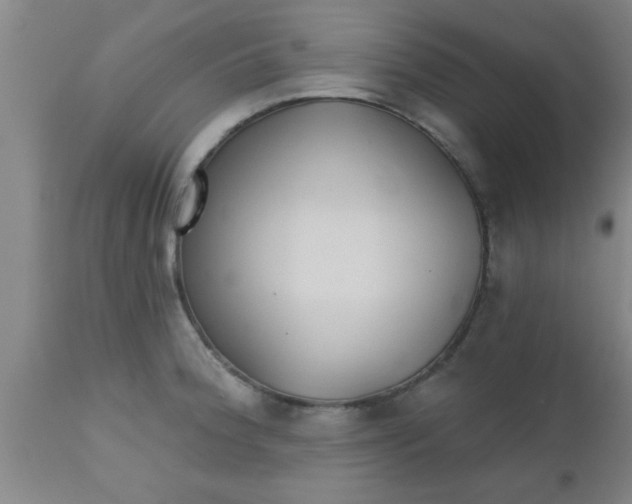 X0000112541188200909071414