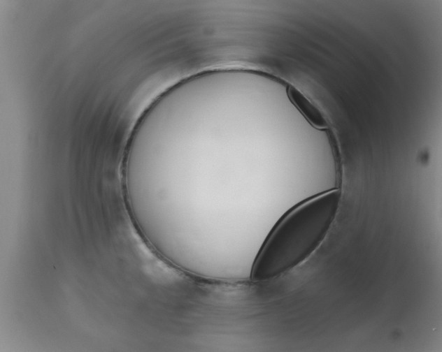 X0000112541189200909071414