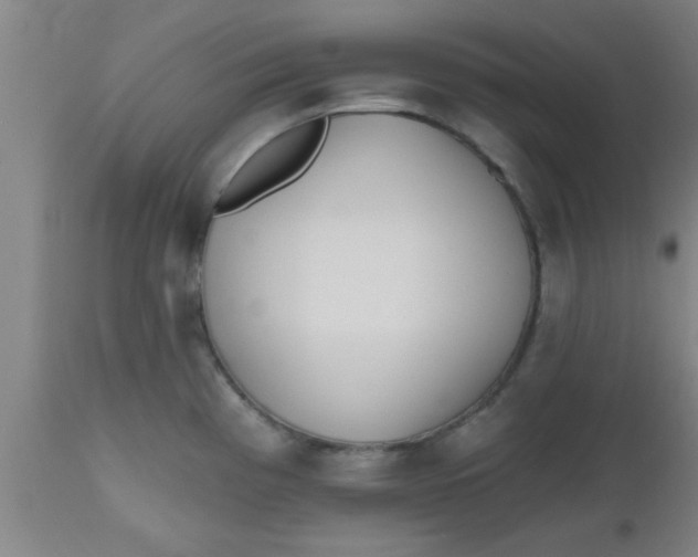 X0000112541193200909071414