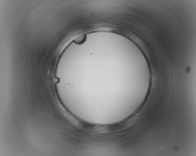 X0000112541194200909071414