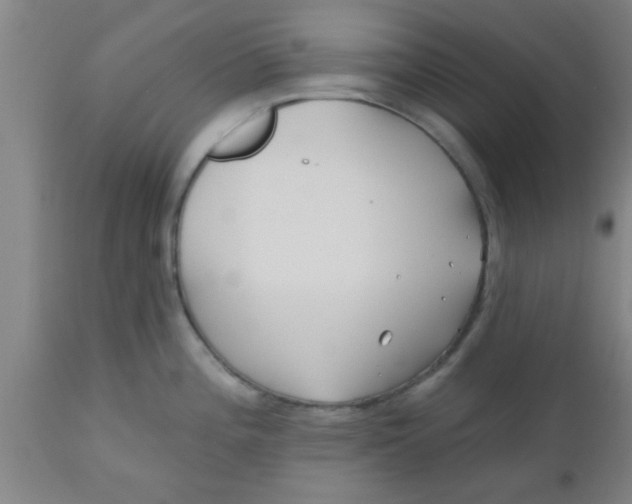 X0000112541196200909071414