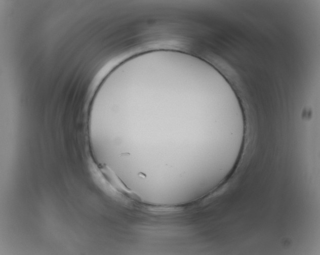 X0000112541200200909071414