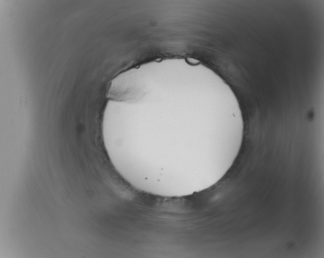 X0000112541201200909071413