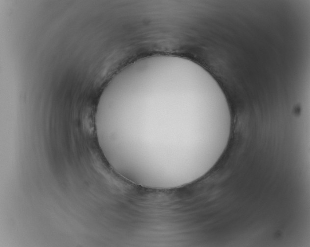 X0000112541202200909071413