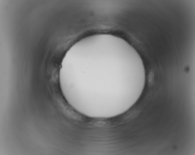 X0000112541204200909071413