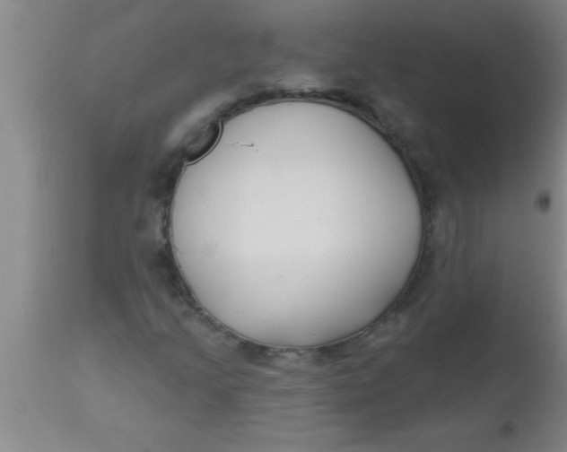 X0000112541205200909071413