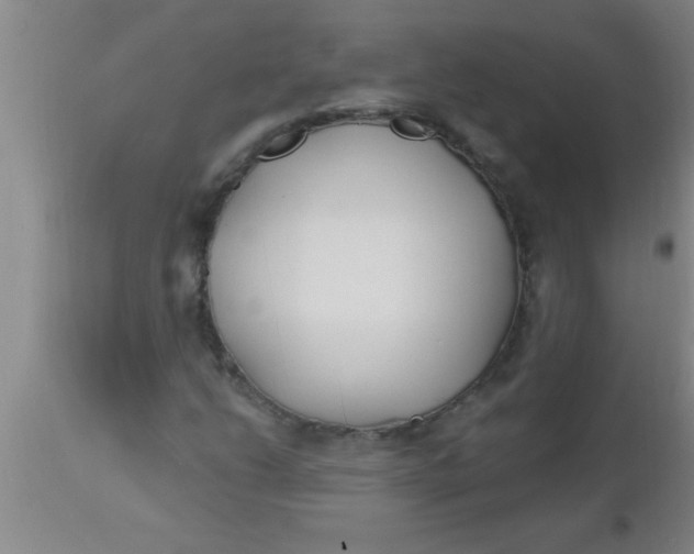 X0000112541206200909071413