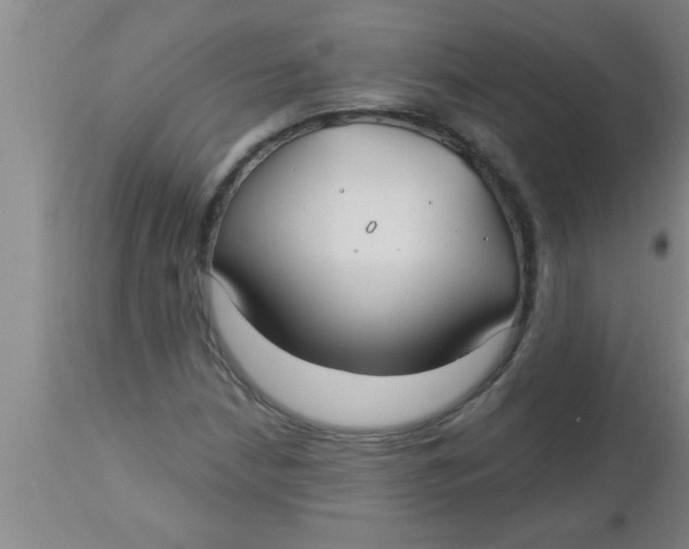 X0000112541210200909071413