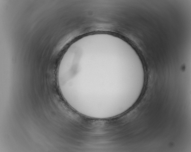 X0000112541211200909071414