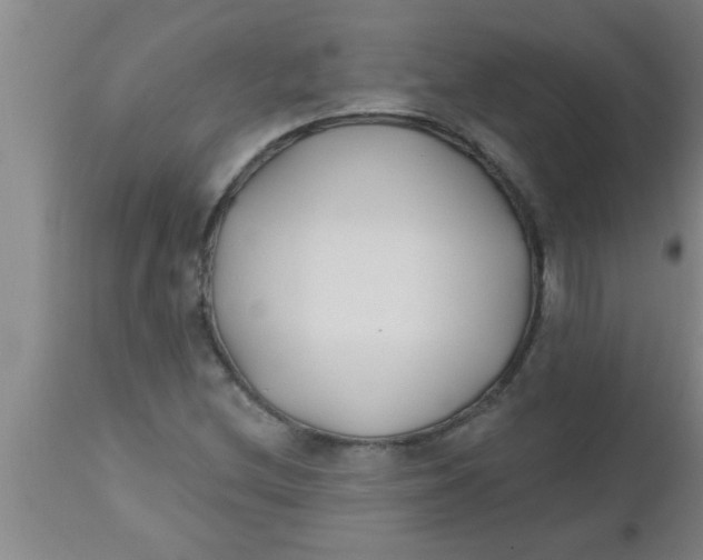 X0000112541212200909071414