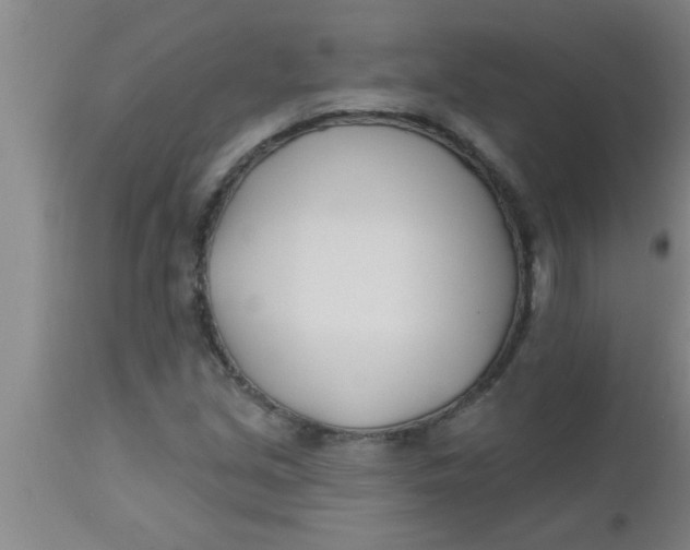 X0000112541213200909071414