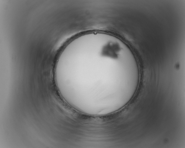 X0000112541214200909071414