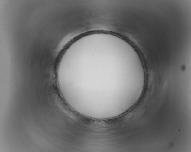 X0000112541215200909071414