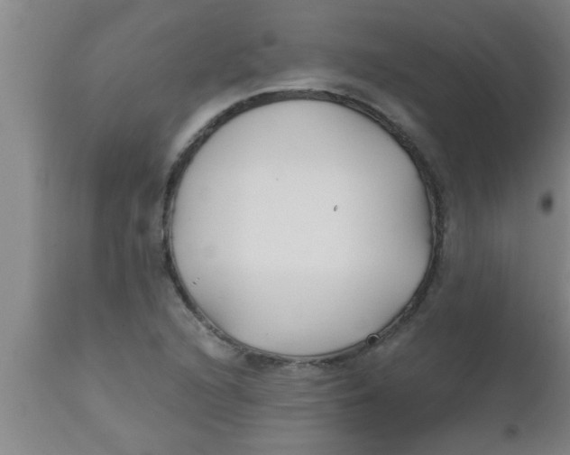 X0000112541216200909071414